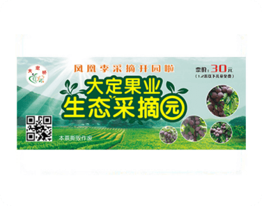 娱乐门票防伪