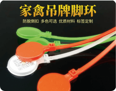 鸡鸭鱼肉防伪吊牌